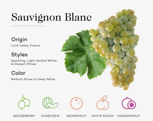 Degustace Sauvignon Blanc 9x jinak / Latino Bar